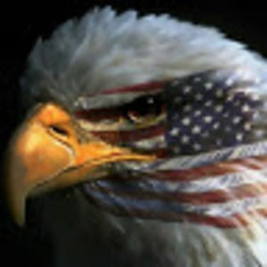 Meet your Posher, Tommy